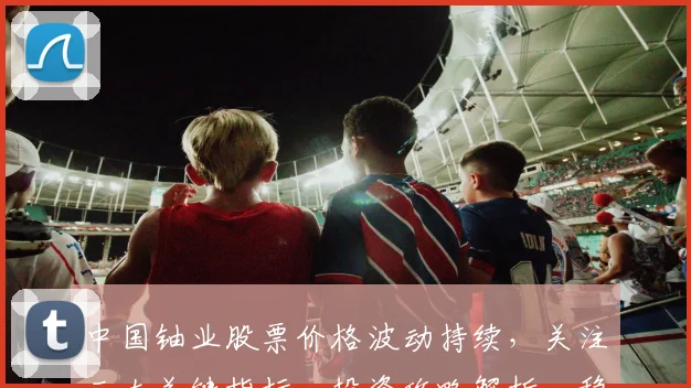 中国铀业股票价格波动持续，关注三大关键指标，投资攻略解析，稳健盈利之道，不容错过