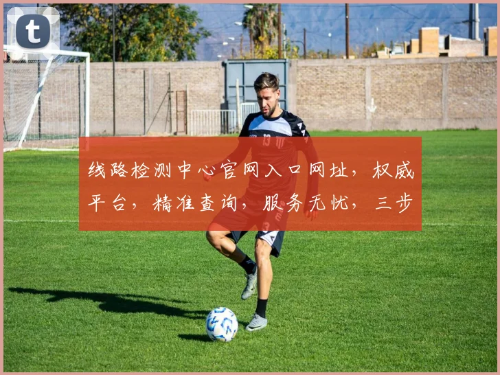 线路检测中心官网入口网址，权威平台，精准查询，服务无忧，三步直达，一网打尽
