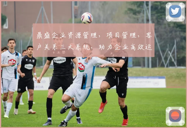 鼎盛企业资源管理，项目管理，客户关系三大系统，助力企业高效运营，提升竞争力