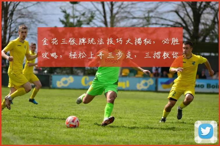 金花三张牌玩法技巧大揭秘，必胜攻略，轻松上手三步走，三招教你赢牌