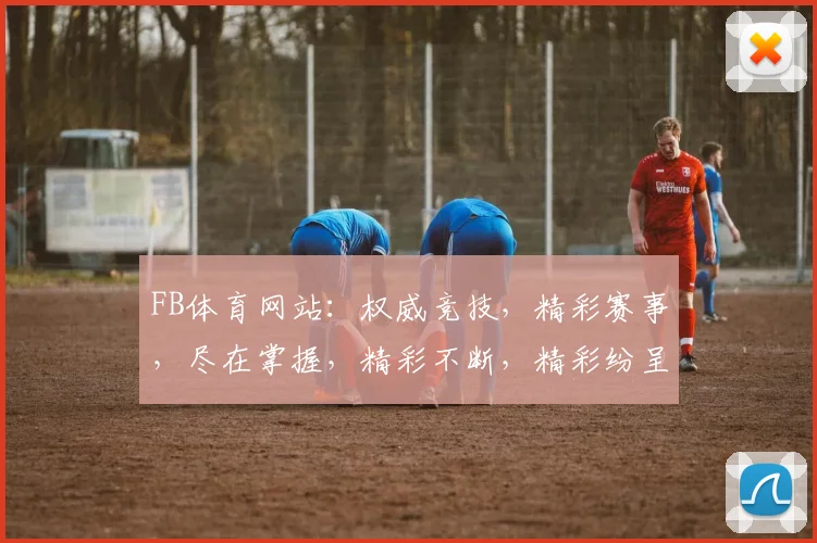 FB体育网站：权威竞技，精彩赛事，尽在掌握，精彩不断，精彩纷呈