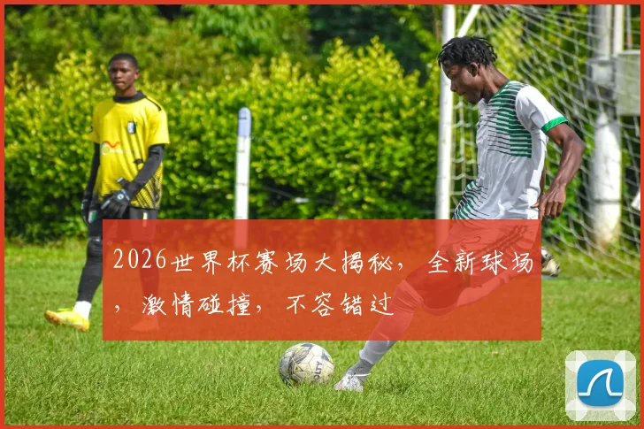 2026世界杯赛场大揭秘，全新球场，激情碰撞，不容错过